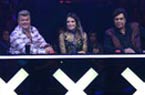 Got Talent Brasil 145x95