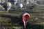 EFE/Yasin Temel / Anadolu Agency