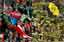 Montagem/ Getty Images
