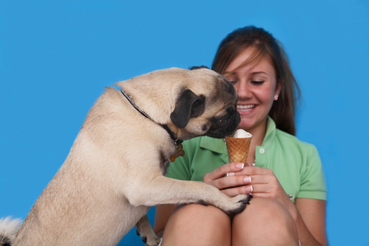 Faça sorvete de carne para hidratar seus pets (ThinkStock) tl_sorvete
