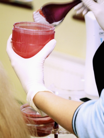 <p>Prepare o produto exatamente conforme as orienta&ccedil;&otilde;es da embalagem. N&atilde;o se esque&ccedil;a de colocar as luvas na hora de aplicar</p>