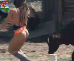 Com um biquíni minúsculo, Nicole provoca e brinca com o bezerro Bernardo