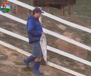 Depois de ir do inferno ao céu ontem (4), Felipe acorda para fazer tarefas Depois de ir do inferno ao céu ontem (4), Felipe acorda para fazer tarefas