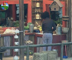 Simone Sampaio se prepara para ajudar Léo Áquilla na tarefa com as vacas Simone Sampaio se prepara para ajudar Léo Áquilla na tarefa com as vacas