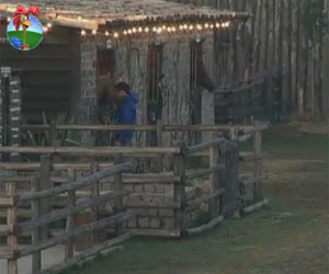 Prestativo, Felipe Folgosi realiza segunda tarefa de sua responsabilidade Prestativo, Felipe Folgosi realiza segunda tarefa de sua responsabilidade