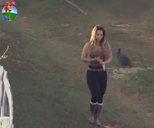 Com trajes justíssimos, Viviane dá início à tarefa matinal com os lhamas Com trajes justíssimos, Viviane dá início à tarefa matinal com os lhamas