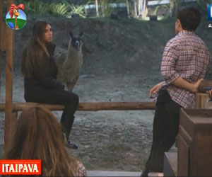 Felipe, Nicole e Viviane tiram suas dúvidas sobre os lhamas