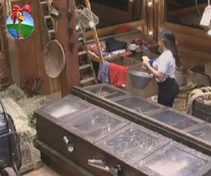 Após protagonizar cena sexy, Nicole Bahls realiza tarefa com as cabras Após protagonizar cena sexy, Nicole Bahls realiza tarefa com as cabras