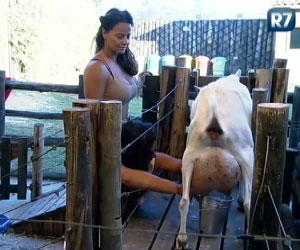 Nicole não poupa elogios a Viviane, ao observar a atriz ordenhar as cabras Nicole não poupa elogios a Viviane, ao observar a atriz ordenhar as cabras