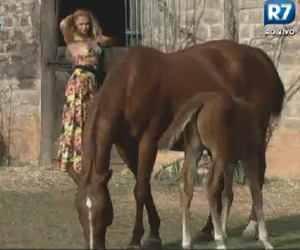 Léo Áquilla vai até a área dos animais, conversa e faz carinho na égua Filó Léo Áquilla vai até a área dos animais, conversa e faz carinho na égua Filó