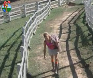 Léo realiza obrigação matinal com a horta e Robertha já trata das aves Léo realiza obrigação matinal com a horta e Robertha já trata das aves