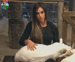 Nicole Bahls procura carinho e companhia com suas queridas amigas cabras Nicole Bahls procura carinho e companhia com suas queridas amigas cabras