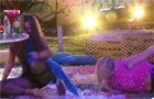 Loucura total! Festa Crazy do BBB fez jus ao nome; veja fotos!