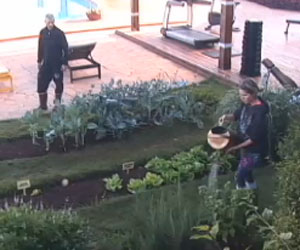 A Fazenda A Fazenda